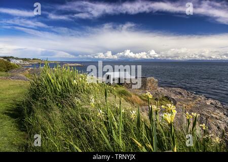 Sweeping Landscape View of Juan De Fuca strait and Dramatic Sky over Distant Olympic Peninsula in Washington, USA from Saxe Point Park in Victoria BC Stock Photo