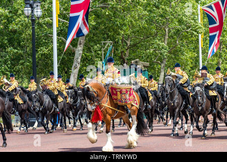 A drum horse with The Mounted Band of The Household Cavalry on The Mall at The Trooping The Colour Ceremony , London,UK, 2019 Stock Photo