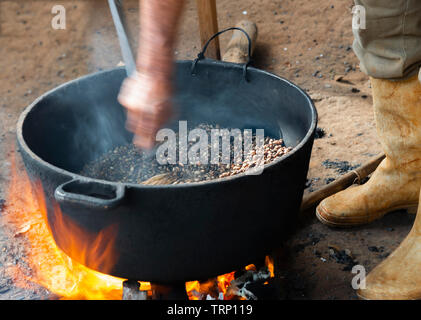 Coffee beans being roasted over a wood fire by a coffee farmer in the Valle de Vinales, Vinales, Cuba, Caribbean Stock Photo