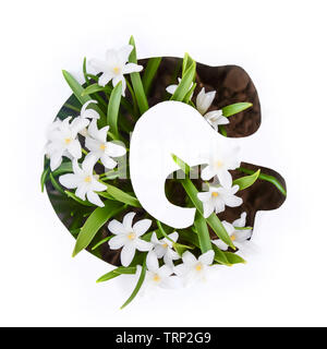 The letter G of the English alphabet of small white chionodoxa flowers Stock Photo