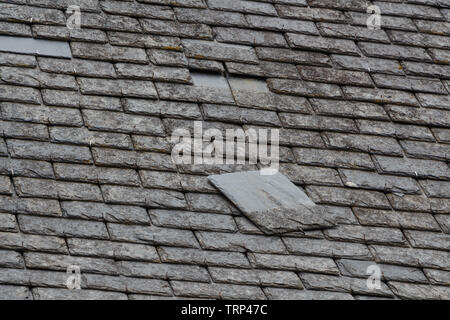 Slate detached from a roof of an house Stock Photo