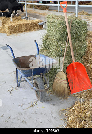 Wheelbarrow Cart Broom and Shovel in Stable at Farm Stock Photo