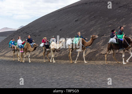 Tourists on a camel ride in Timanfaya National Park, LAnzerote. Stock Photo