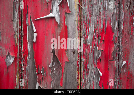 Close-up of neglected weathered bright red peeling paint and exposed wood on side panel of old train goods wagon at Didcot Railway Centre, Oxfordshire Stock Photo