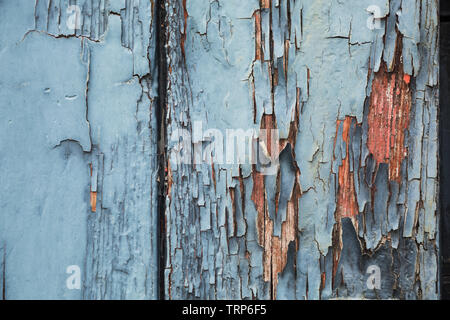 Close-up of neglected weathered cracked & peeling pale blue paint on side panel of old wooden train goods wagon at Didcot Railway Centre, Oxfordshire. Stock Photo
