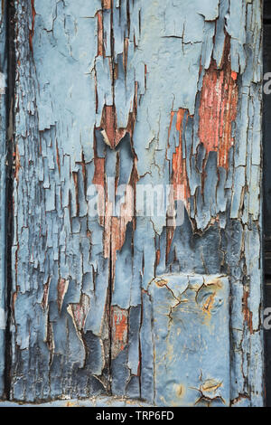 Close-up of neglected weathered cracked & peeling pale blue paint on side panel of old wooden train goods wagon at Didcot Railway Centre, Oxfordshire. Stock Photo