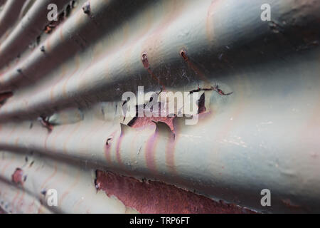 Old rusty corroding corrugated iron (steel) sheet painted with green peeling paint on end of LMS goods wagon at Didcot Railway Centre, Oxfordshire, UK Stock Photo