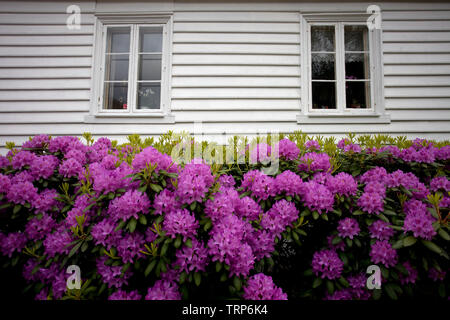 White cottage in Gamies Stavanger, Norway Stock Photo