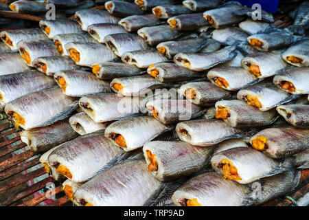 pattern of dried salted damselfish on threshing bamboo basket, its favorite food of thailand Stock Photo