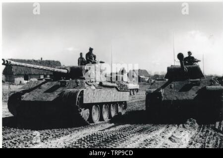 German Panther Tanks SS Wiking Division Stock Photo: 214129746 - Alamy