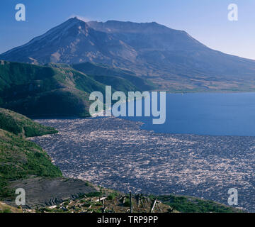 USA, Washington, Mt. St. Helens National Volcanic Monument, View from Independence Pass with logs on Spirit Lake and Mt. St. Helens. Stock Photo