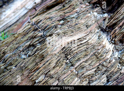 Sedimentary sandstone macro detail Stock Photo