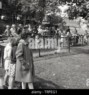 1960s, historical, children visiting the small urban farm at Crystal Palace park in South London, England, UK. A visit to a farm and seeing animals up close is a great way to introduce children to new experiences, which aids in building their confidence and physical skills. Stock Photo