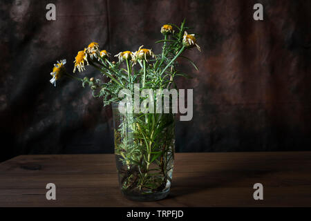 Concept of death. Still life with withered flowers in a glass with water on wooden table with dark background. Stock Photo
