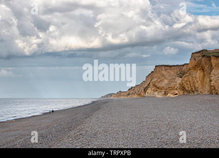 Weybourne Cliffs in the golden hour, Norfolk Stock Photo