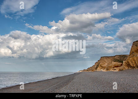 Weybourne Cliffs in the golden hour, Norfolk Stock Photo