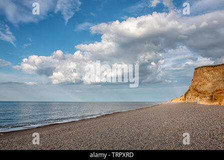 Weybourne Cliffs in the golden hour, Norfolk Stock Photo