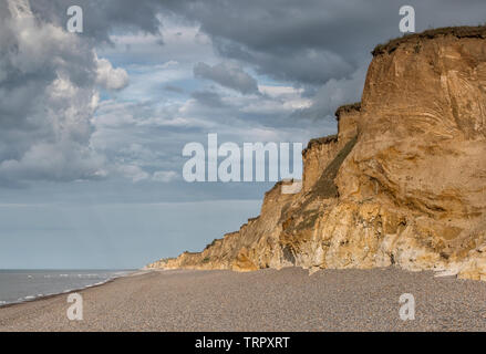 Weybourne Cliffs in the golden hour, Norfolk Stock Photo