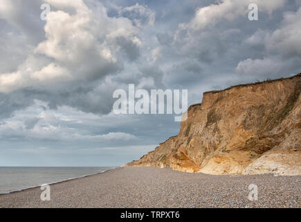 Weybourne Cliffs in the golden hour, Norfolk Stock Photo