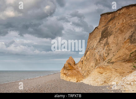 Weybourne Cliffs in the golden hour, Norfolk Stock Photo