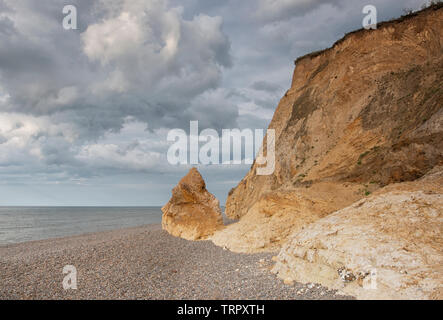 Weybourne Cliffs in the golden hour, Norfolk Stock Photo