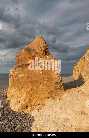 Weybourne Cliffs in the golden hour, Norfolk Stock Photo