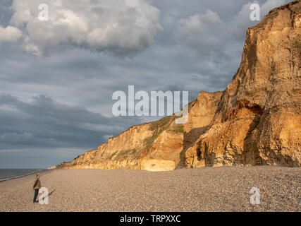 Weybourne Cliffs in the golden hour, Norfolk Stock Photo