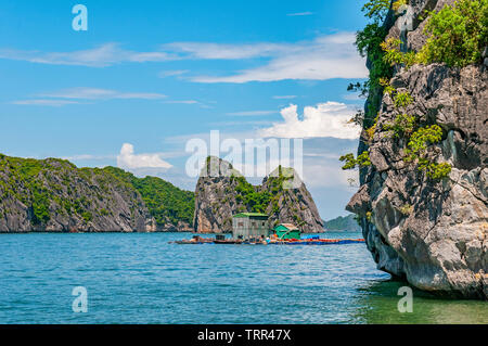A summer day between the karst mineral formations and emerald waters of the Tonkin Gulf in Halong Bay with a floating house, North Vietnam, Asia. Stock Photo