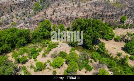 Aerial view of the trees, stream and green areas around the town of Quiriego, Sonora. Vista Aérea de los arboles, arroyo y  areas verde en los alrededores de pueblo de Quiriego, Sonora.   (Photo: LuisGiutierrez/NortePhoto) Stock Photo