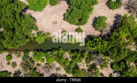 Aerial view of the trees, stream and green areas around the town of Quiriego, Sonora. Vista Aérea de los arboles, arroyo y  areas verde en los alrededores de pueblo de Quiriego, Sonora.   (Photo: LuisGiutierrez/NortePhoto) Stock Photo