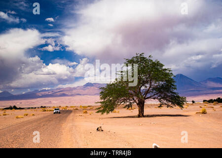 varied desert landscape near San Pedro de Atacama Stock Photo