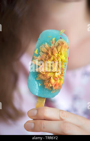 Lemon sorbet popsicle (coloured with spirulina) with edible flower - dahlia Stock Photo
