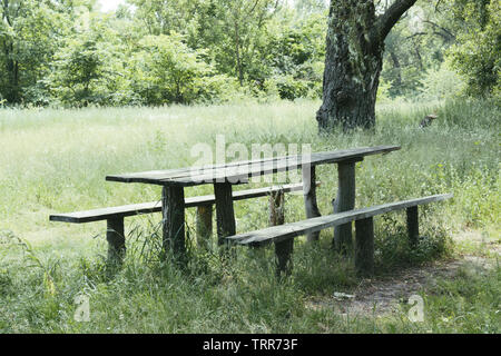 Wooden table and benches for a picnic on the grass of the park area in the shade. Camping at the table. Stock Photo