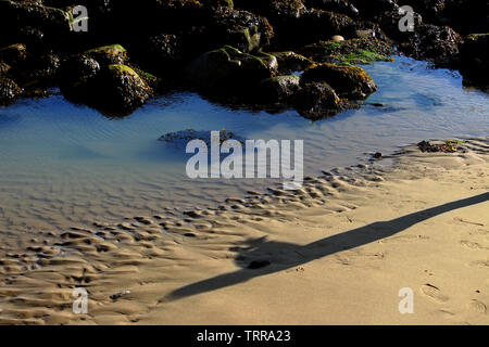 Shadows admire the beauty of the ocean and the coast. Stock Photo