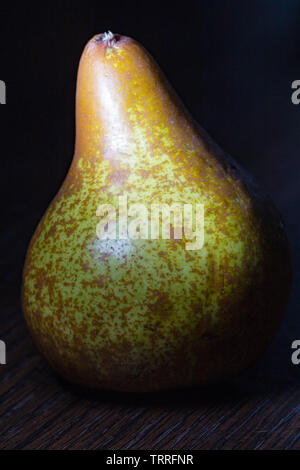A Bosc pear (Pyrus communis 'Bosc') in dramatic lighting reveals its classic shape. Stock Photo