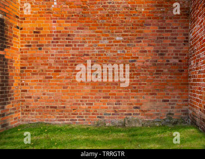 Old red brick wall background on grass Stock Photo