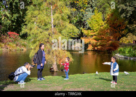 Christchurch, Canterbury, New Zealand April 27 2019: Families explore and play in the Botanic Gardens in the Christchurch city centre Stock Photo