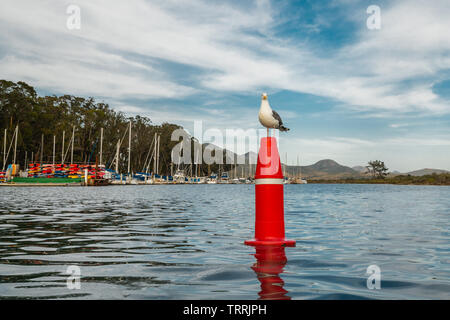Sea Harbor and Seagull Sitting on the Buoy Against Cloudy Blue Sky Stock Photo