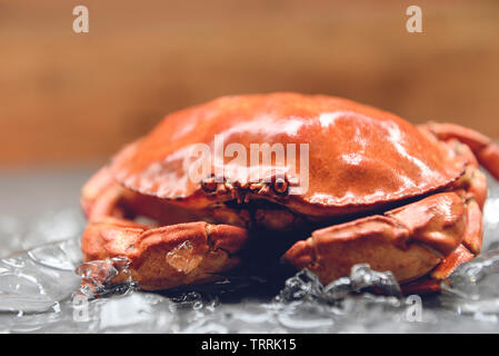 crabs on ice / Close up of stone crab steamed in the seafood restaurant Stock Photo