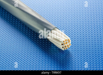The cross-section of the control cable lies on the blue technological surface Stock Photo