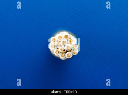 Cross-section of control cable on blue technological background, macro Stock Photo