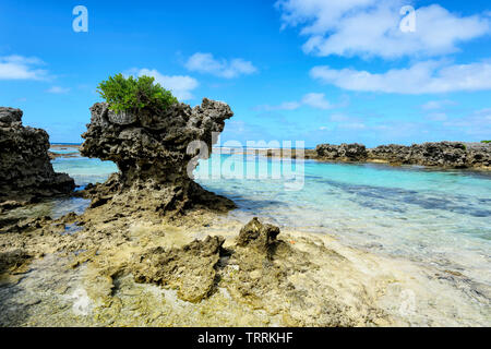 A view of the scenic coral coastline and its turquoise waters near Port Vila, Efate Island, Vanuatu, Melanesia Stock Photo