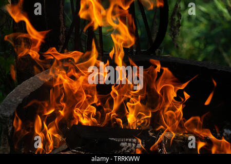on fire flame Stock Photo