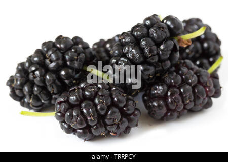 Pile of organic mulberry fruits isolated on white background Stock Photo