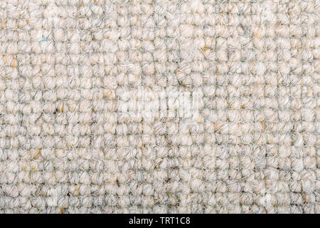 As close up of a loop pile wool carpet in neutral, cream and beige tones. Stock Photo