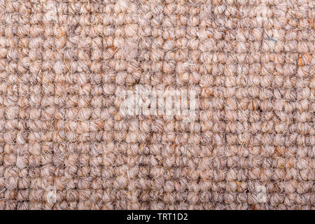 As close up of a loop pile wool carpet in neutral, beige and fawn tones. Stock Photo