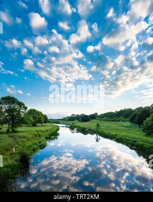 A peaceful June evening on the River Nene near Ferry Meadows, Peterborough, Cambridgeshire, with a mackerel sky reflected in the still water. Stock Photo