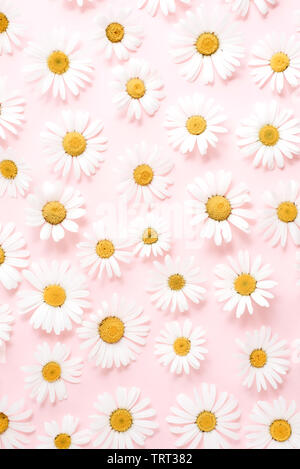 Flowers composition. Chamomile flowers on pastel yellow background. Spring, summer concept. Flat lay, top view, copy space Stock Photo