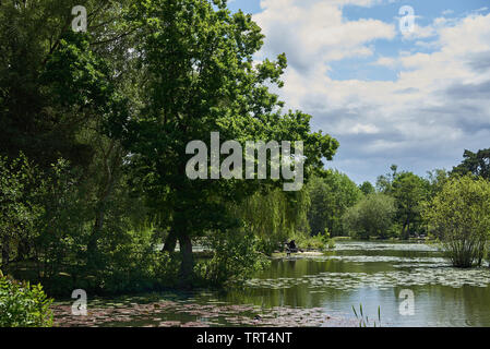 Tranquil scene of a lake and trees on a bright summer’s day. Stock Photo