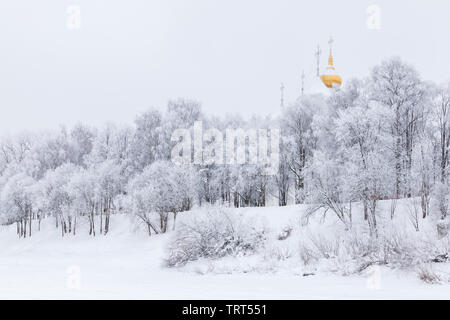 Winter landscape with Domes of the Saint Sophia Cathedral and frozen trees, Vologda, Russia. It was constructed between 1568 and 1570